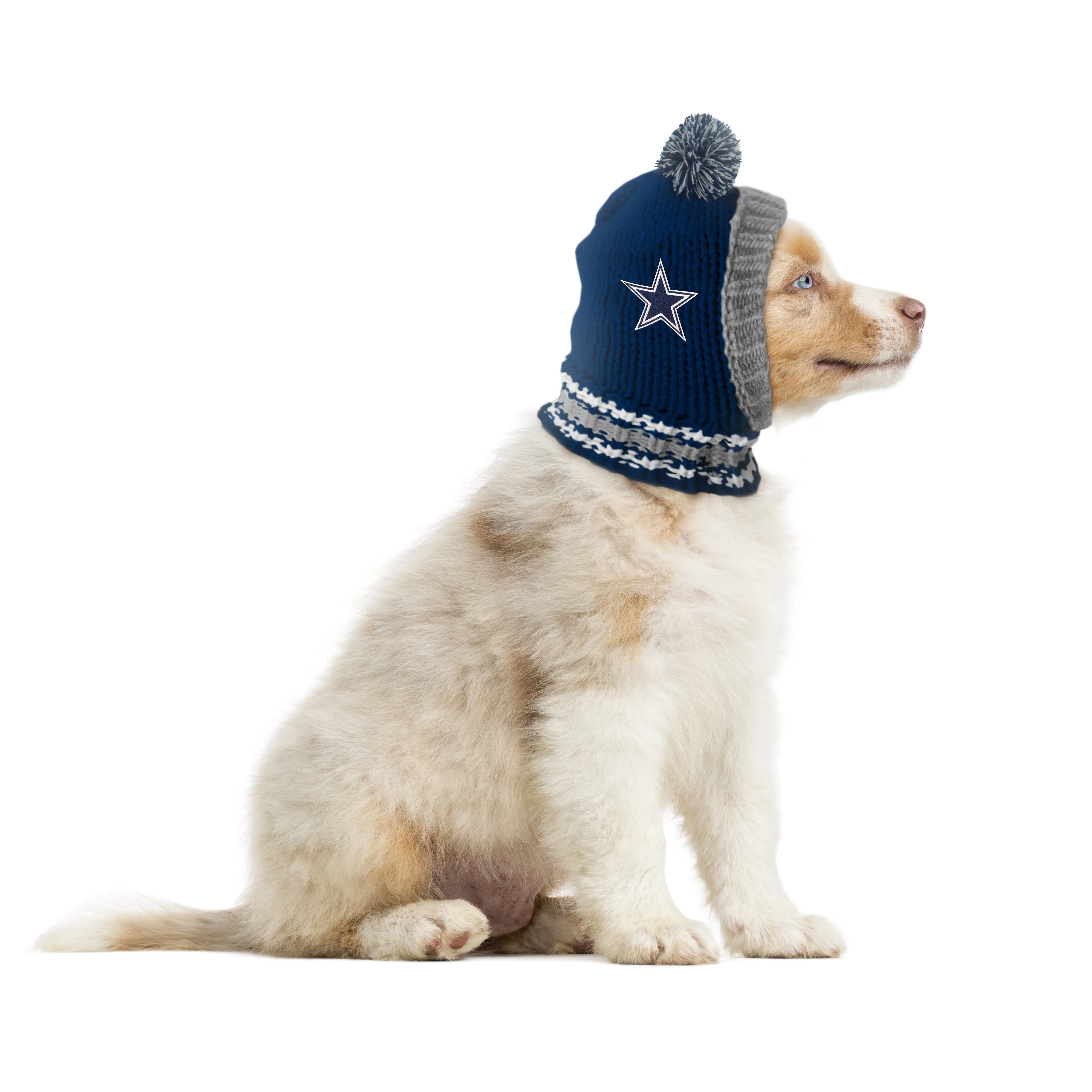 Dallas Cowboys Team Pet Knit Hat