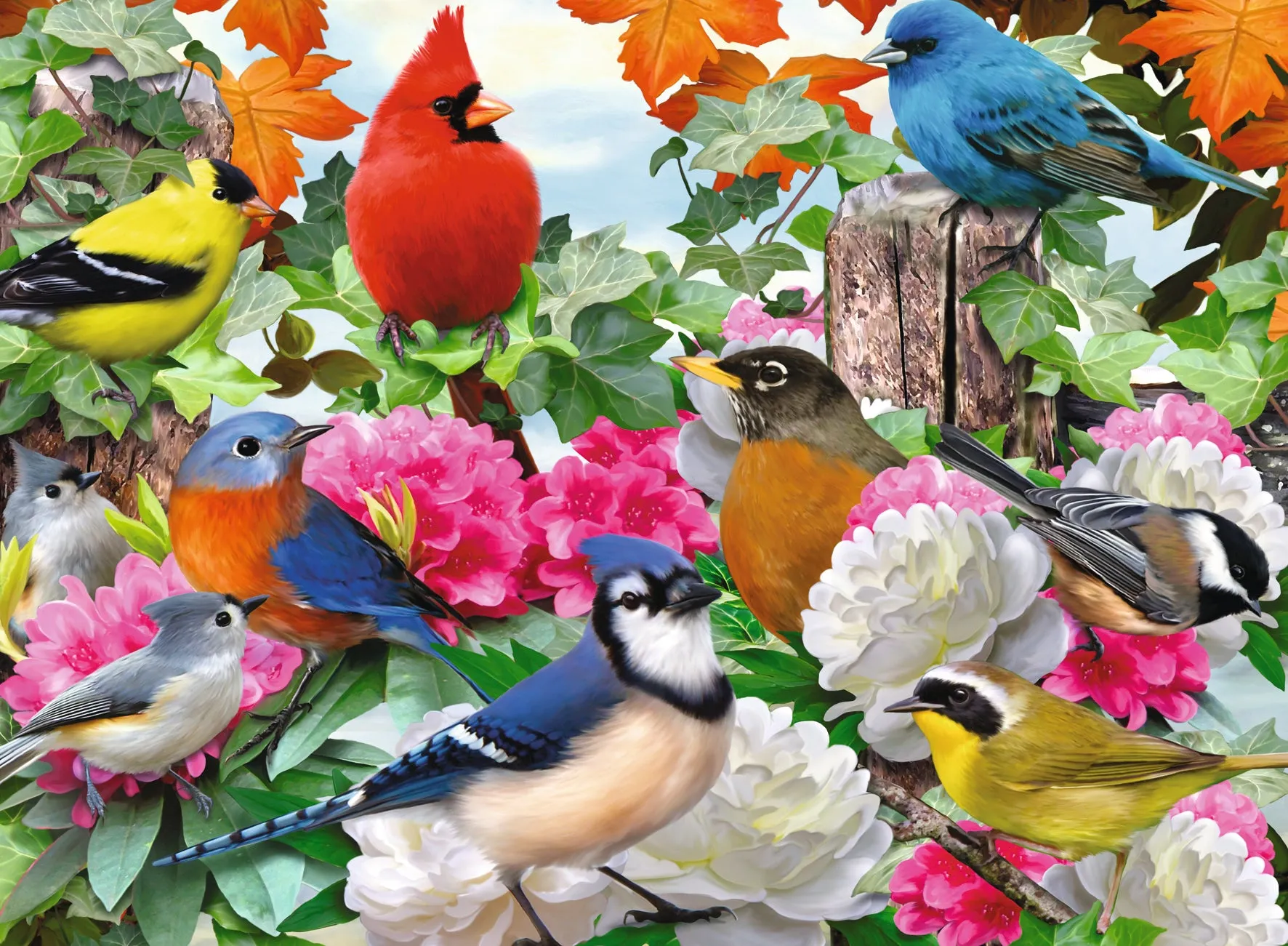 Garden Birds - 500pc Puzzle