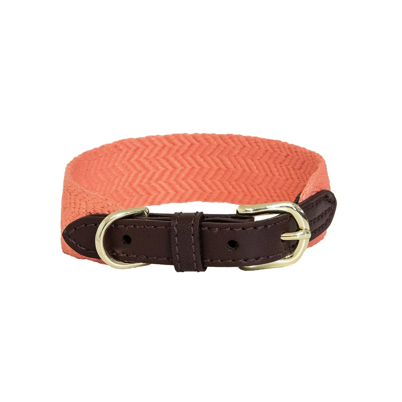 Kentucky Dogwear Jacquard Dog Collar - Neon Orange