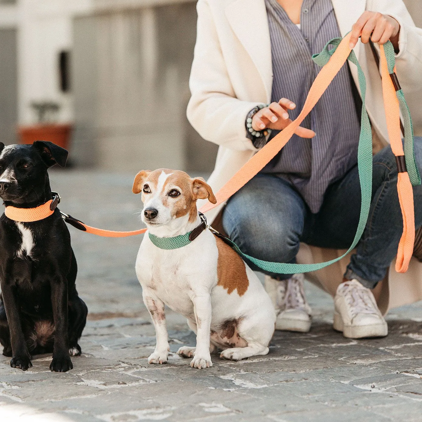 Kentucky Dogwear Jacquard Dog Lead - Neon Orange