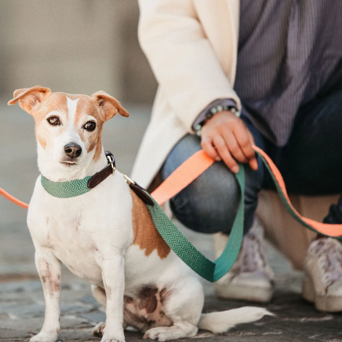 Kentucky Dogwear Jacquard Dog Lead - Olive Green