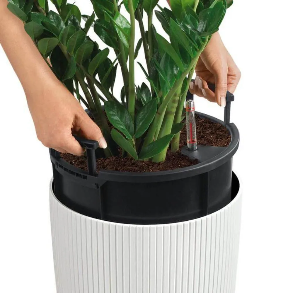 Lechuza Cilindro 23 Planter