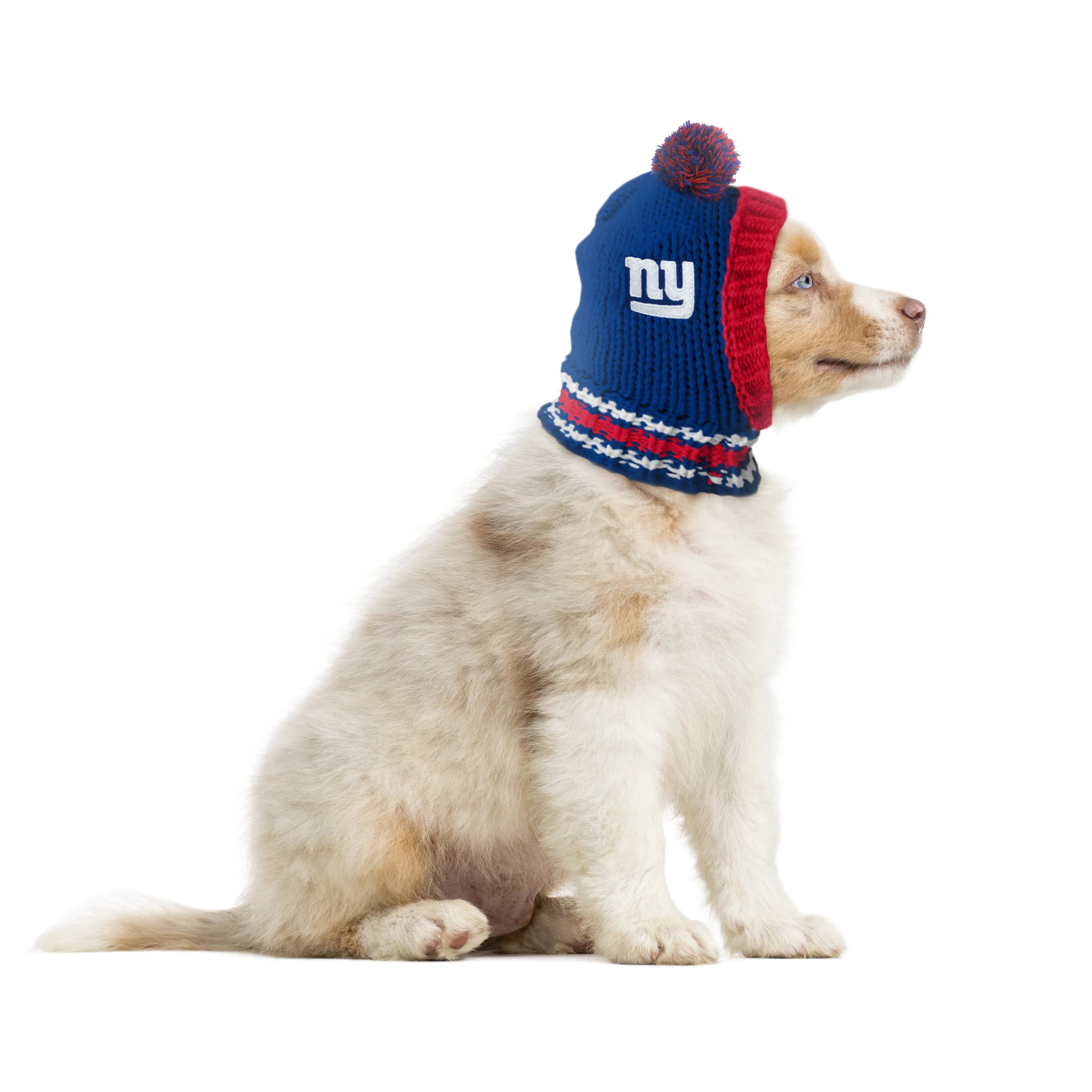 New York Giants Team Pet Knit Hat