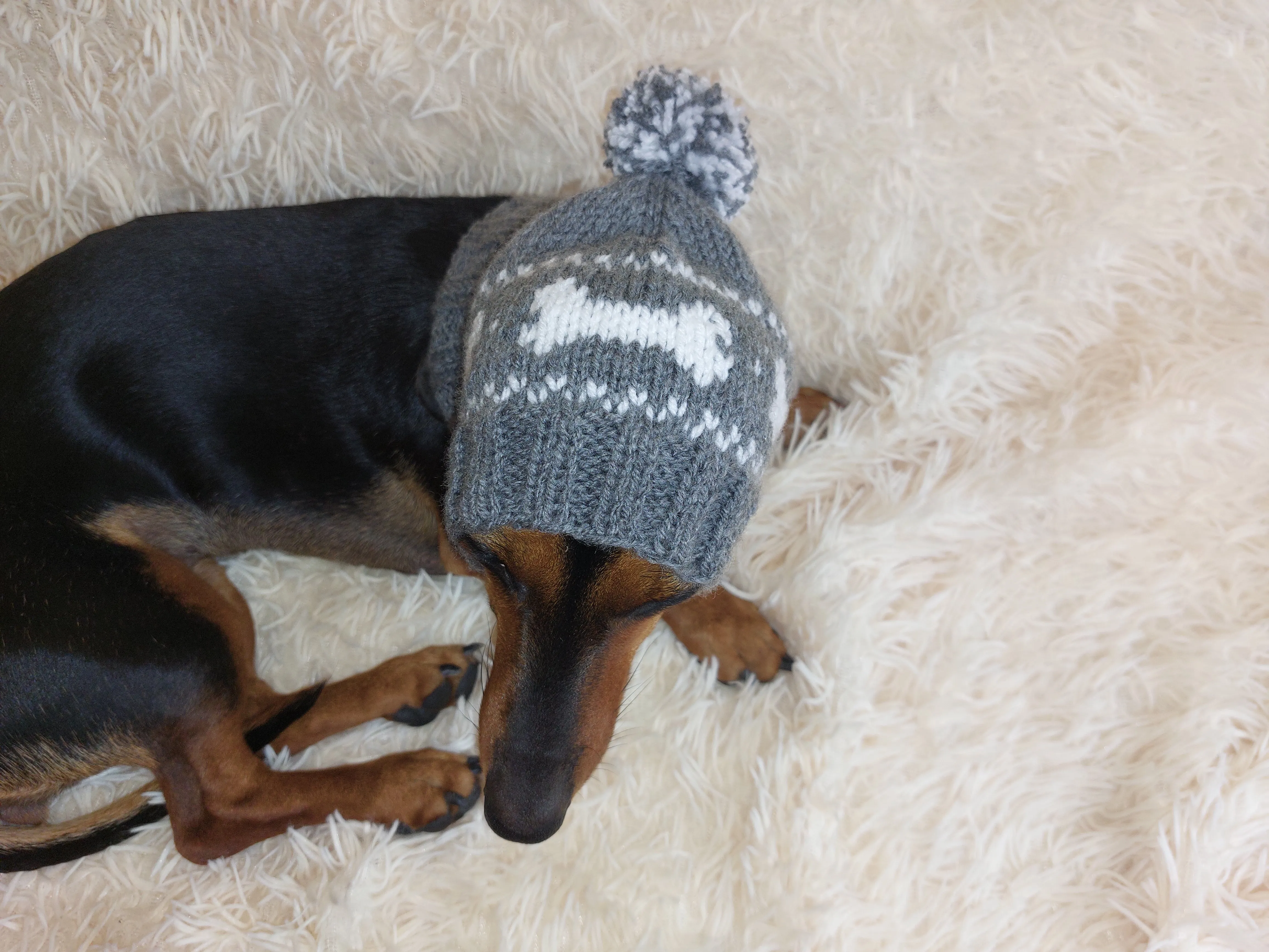 Pet Clothes Boned Hat with Pompom,Bone Dog Hat,Halloween Bonnet Hat for Dachshund Dog