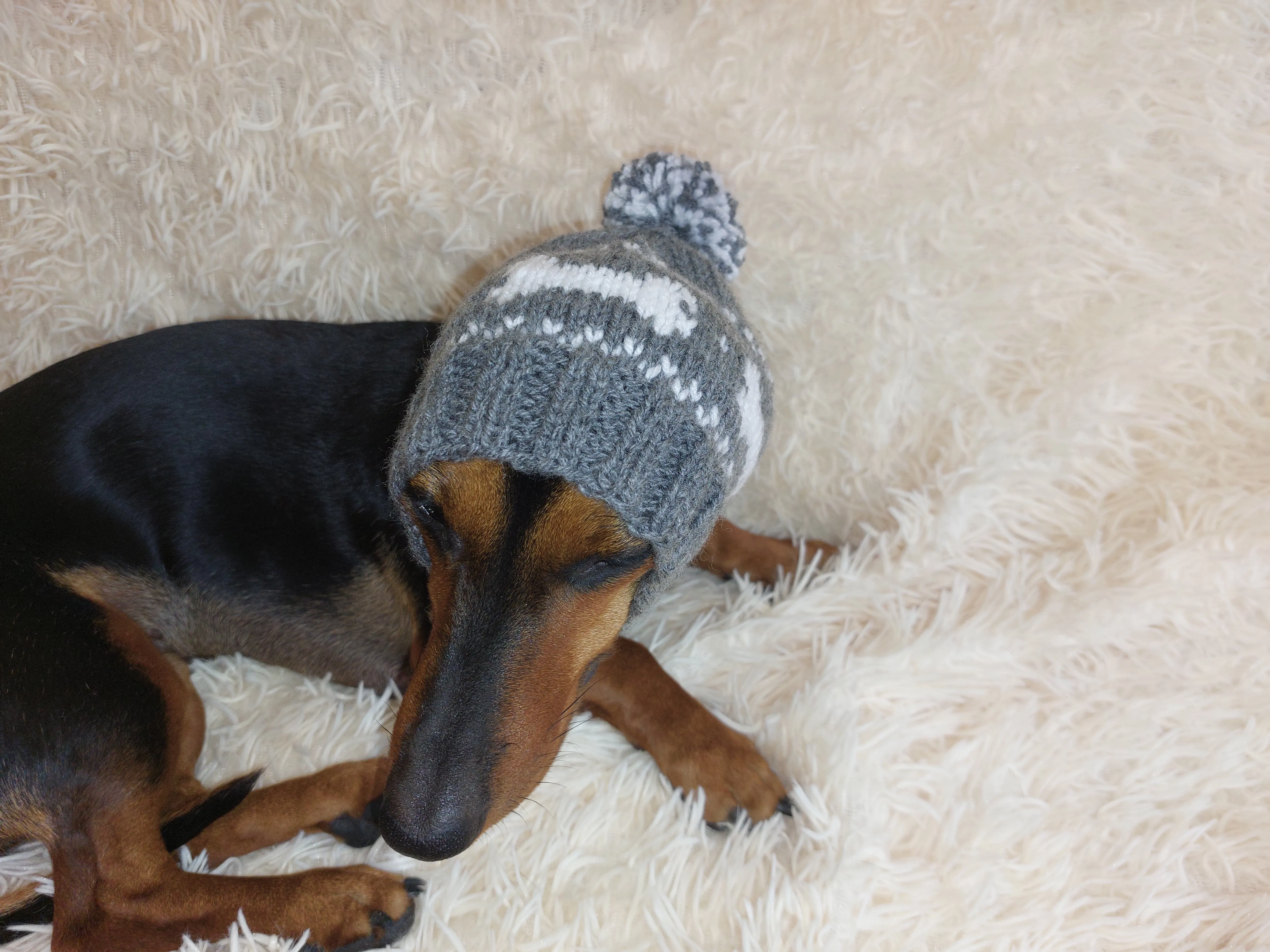 Pet Clothes Boned Hat with Pompom,Bone Dog Hat,Halloween Bonnet Hat for Dachshund Dog