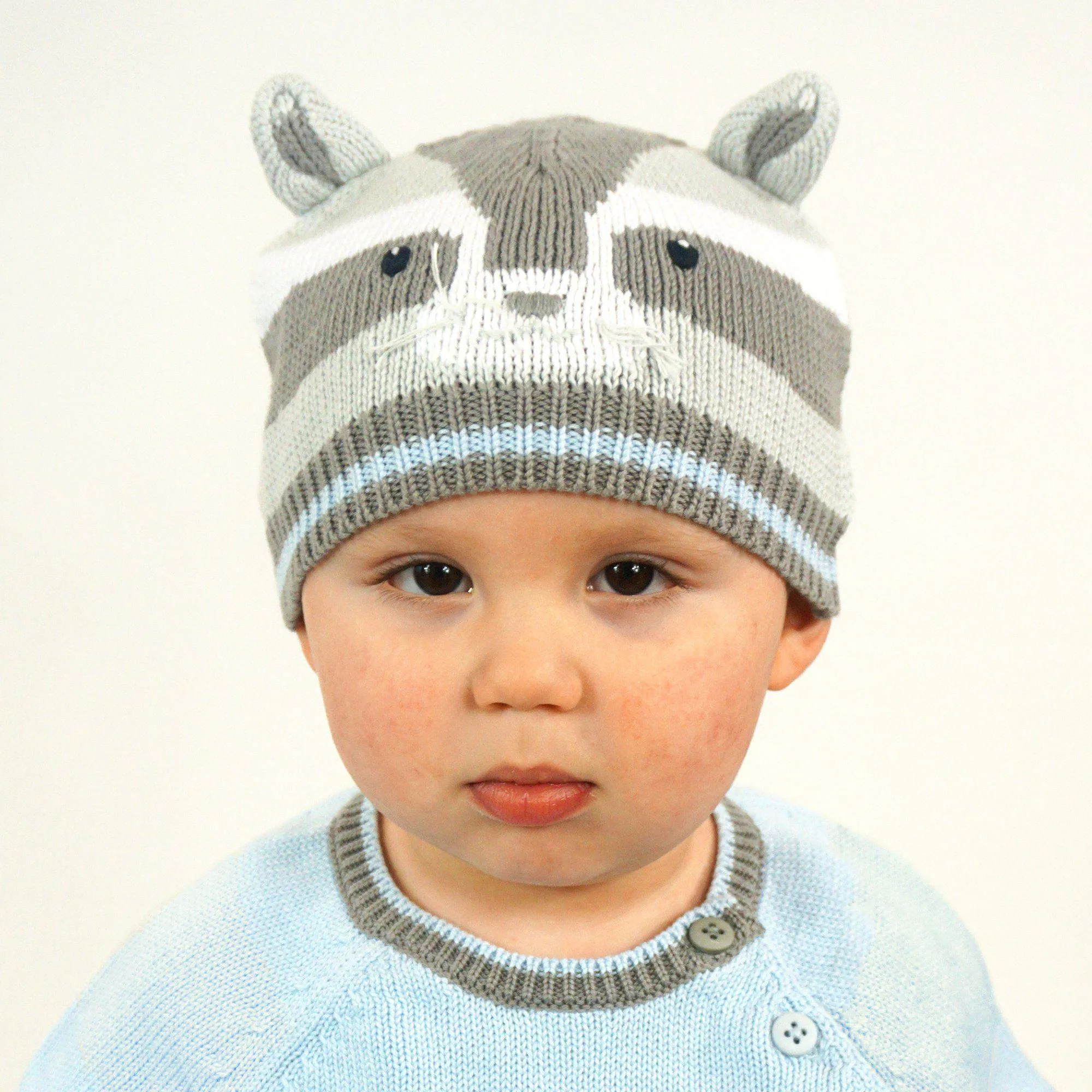 Raccoon Knit Hat