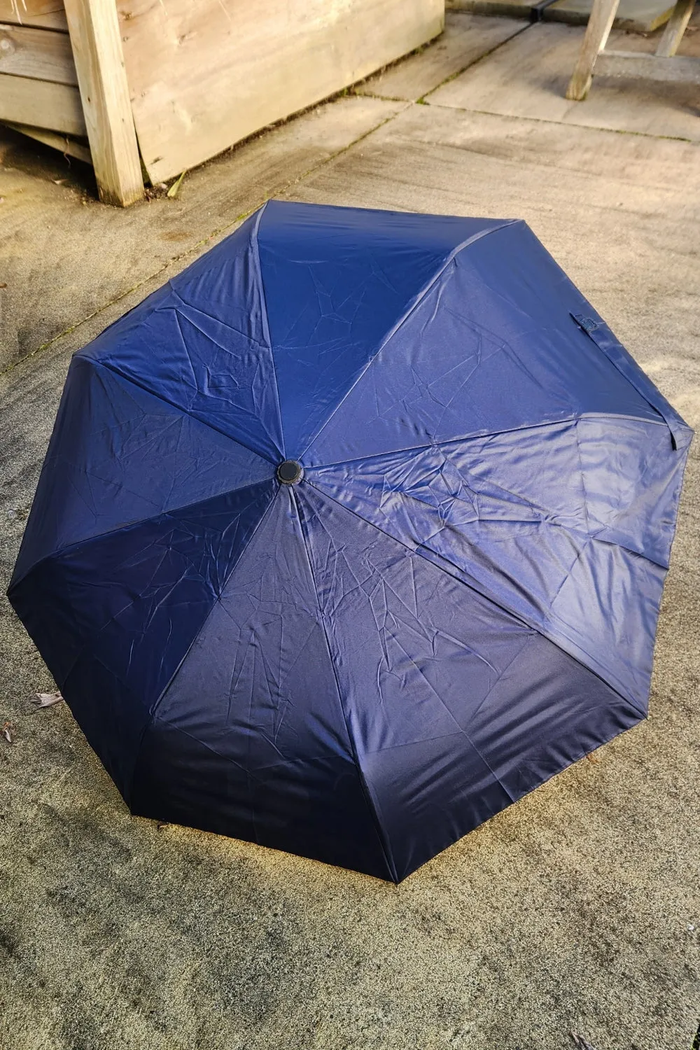 Song Bird Umbrella - Navy