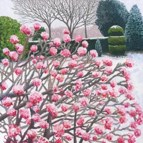 Susan Entwistle Winter Viburnum Greeting Card