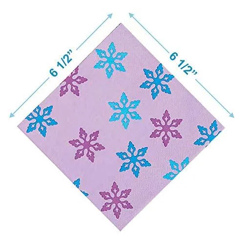 Winter Princess and Frozen Party Supplies - Winter Princess Dinner Plates and Luncheon Napkins (Serves 16)